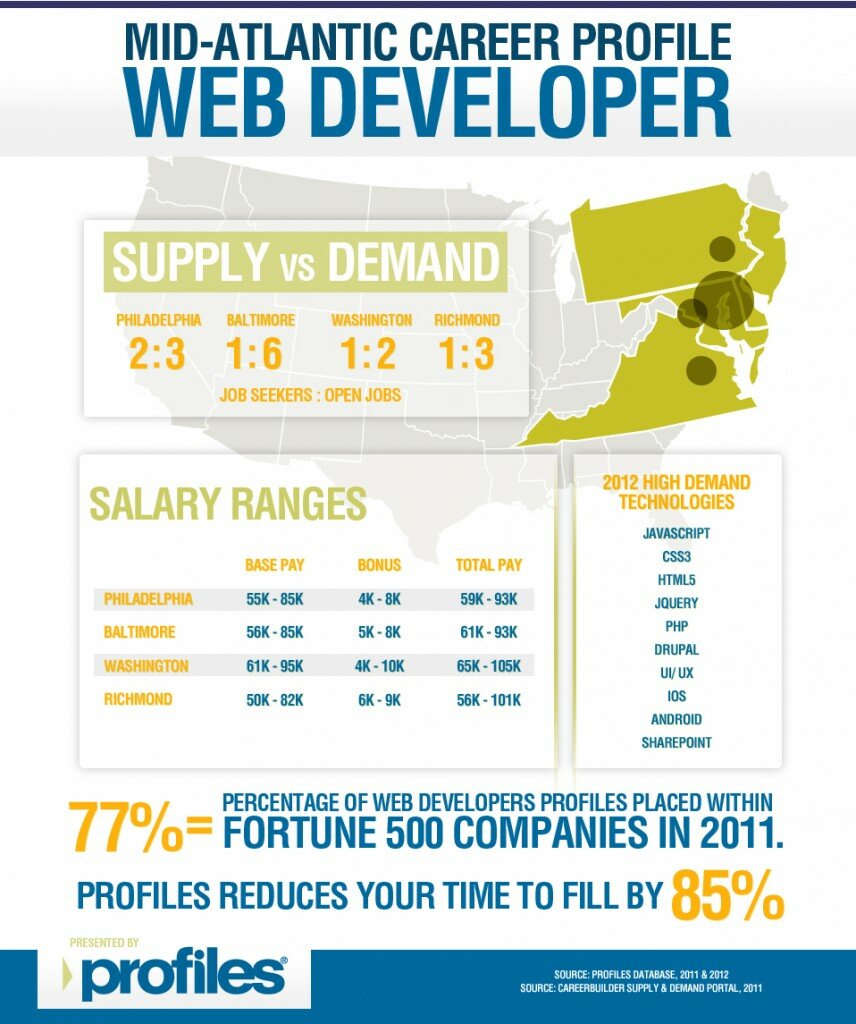 The bigger version of Web Developer Career Profile