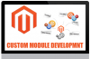Magento Module Development